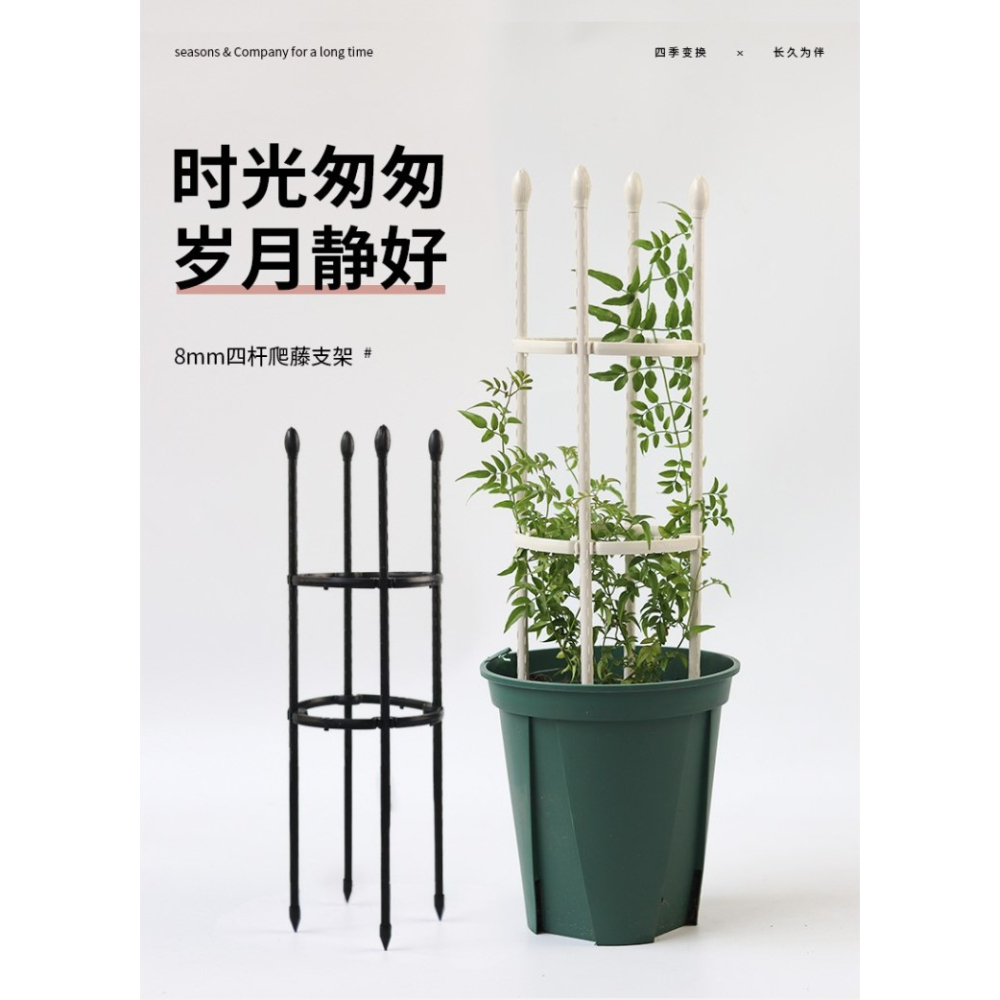 爬藤植物支架白色鐵藝花架室內綠植攀爬支柱月季鐵線蓮陽臺支撐桿-細節圖6