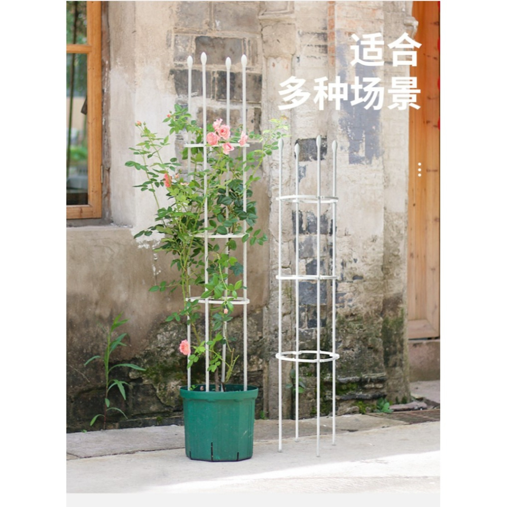 爬藤植物支架白色鐵藝花架室內綠植攀爬支柱月季鐵線蓮陽臺支撐桿-細節圖8