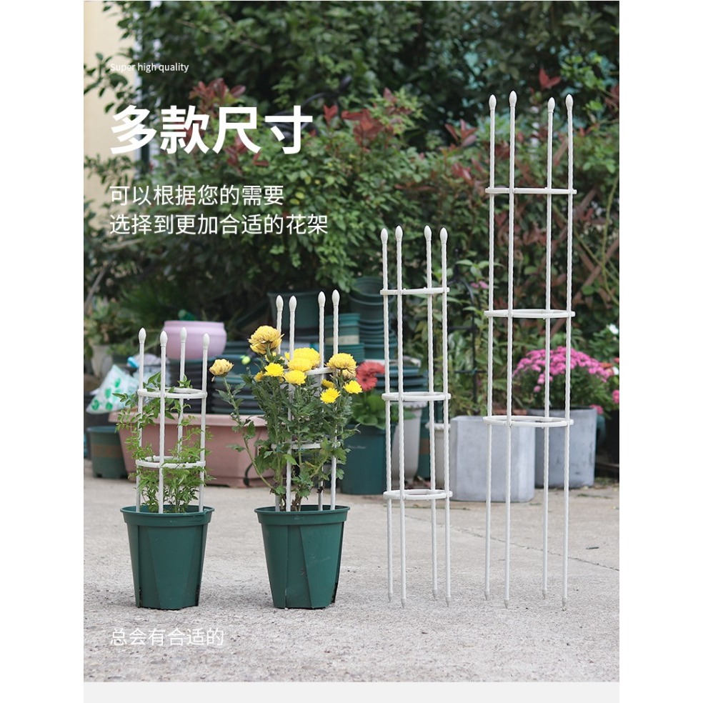 爬藤植物支架白色鐵藝花架室內綠植攀爬支柱月季鐵線蓮陽臺支撐桿-細節圖10