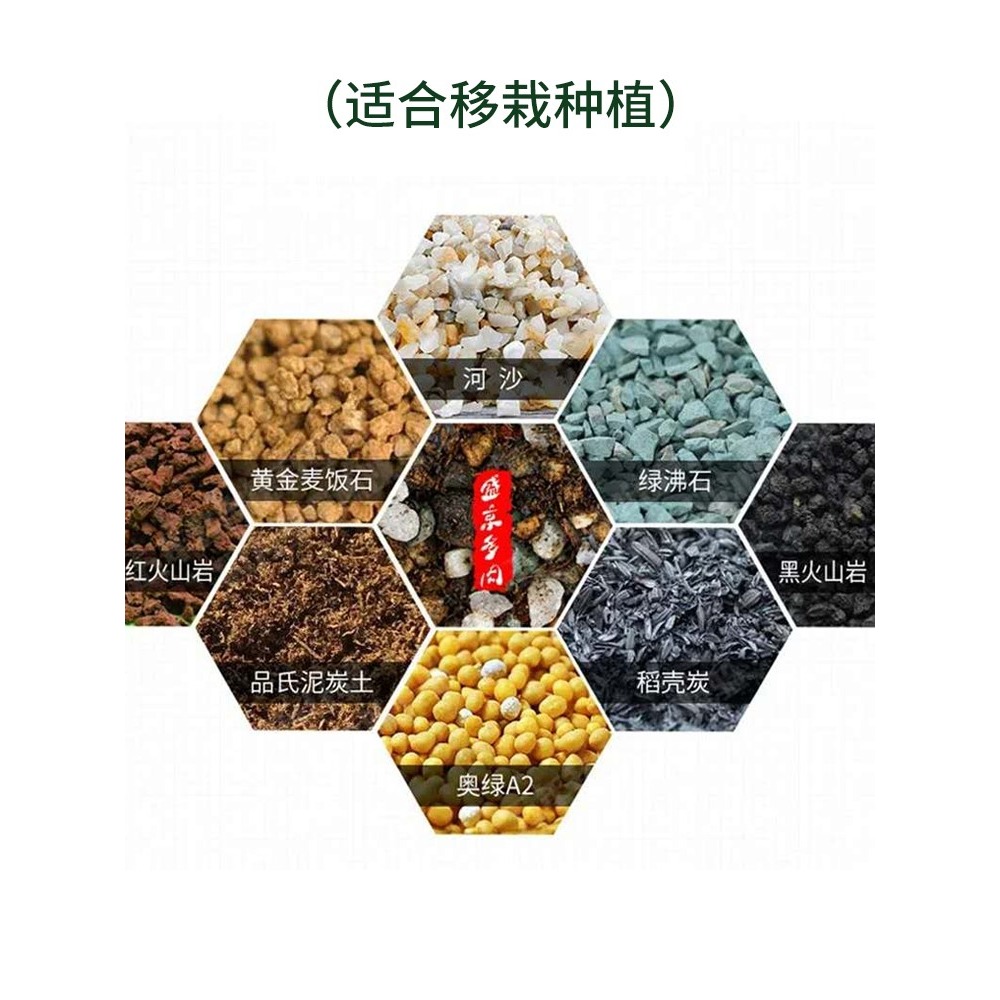 多肉營養土純顆粒土鋪面石彩虹石透氣專用進口泥炭葉插小苗種植土-細節圖3