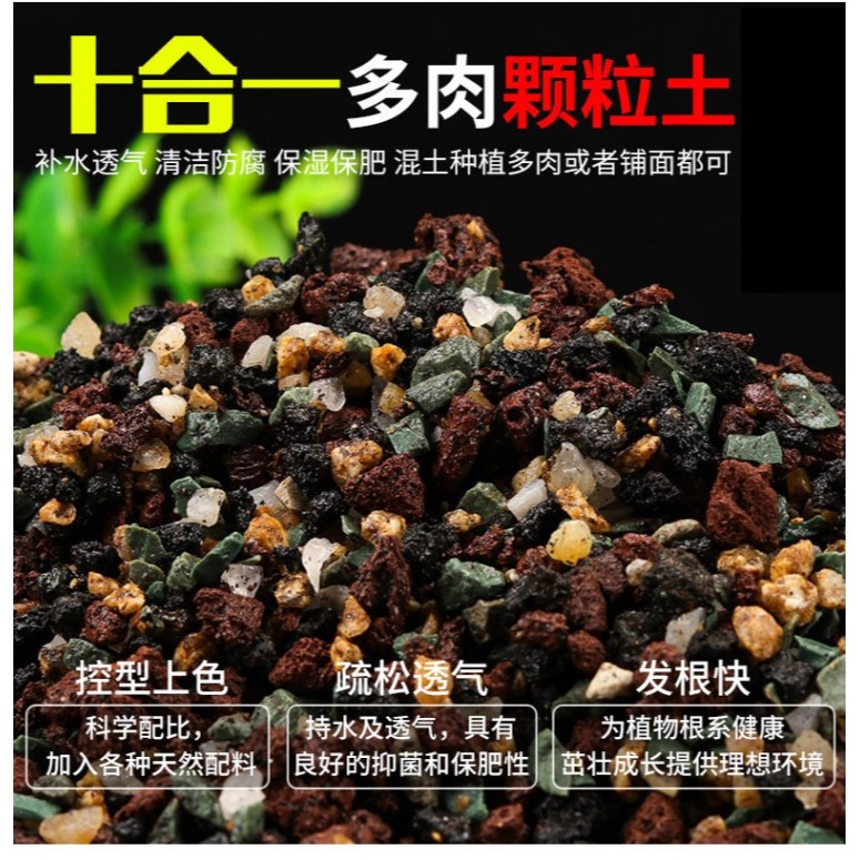 多肉營養土純顆粒土鋪面石彩虹石透氣專用進口泥炭葉插小苗種植土-細節圖7