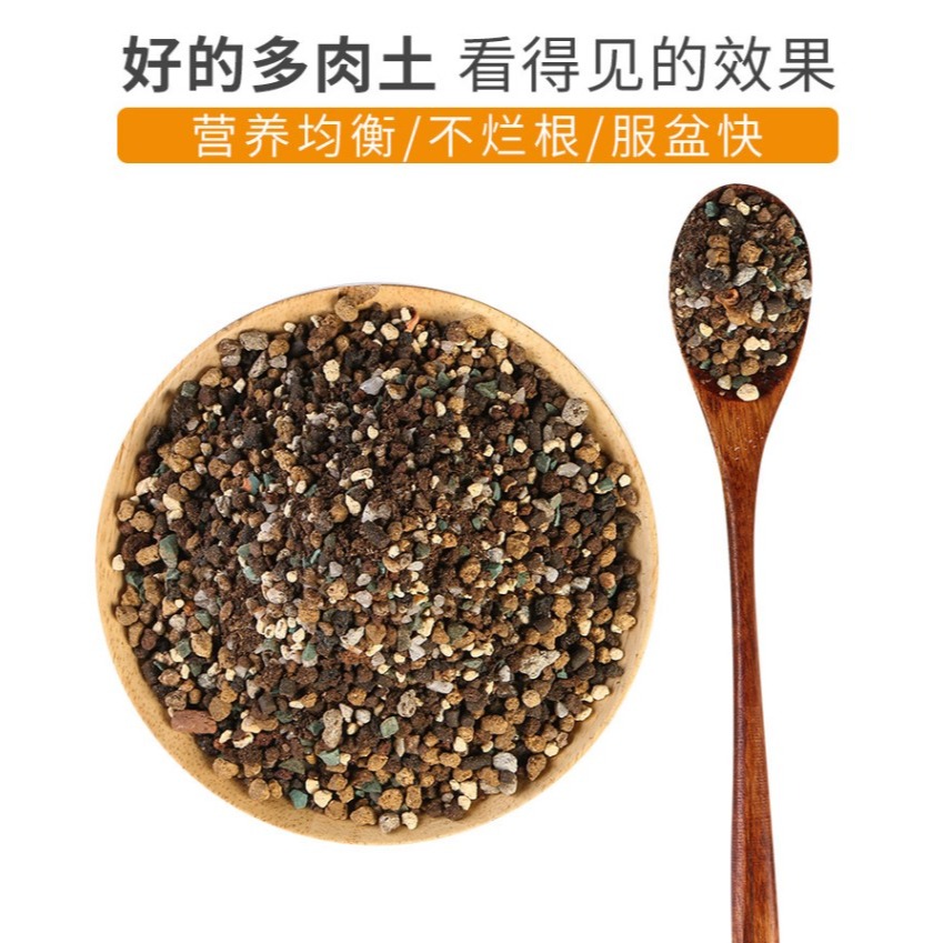 多肉營養土純顆粒土鋪面石彩虹石透氣專用進口泥炭葉插小苗種植土-細節圖8