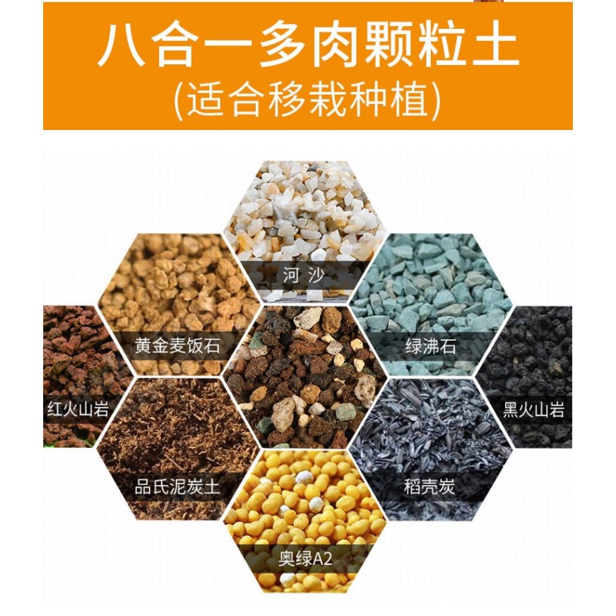 多肉營養土純顆粒土鋪面石彩虹石透氣專用進口泥炭葉插小苗種植土-細節圖9