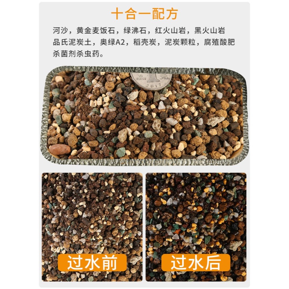 多肉營養土純顆粒土鋪面石彩虹石透氣專用進口泥炭葉插小苗種植土-細節圖10