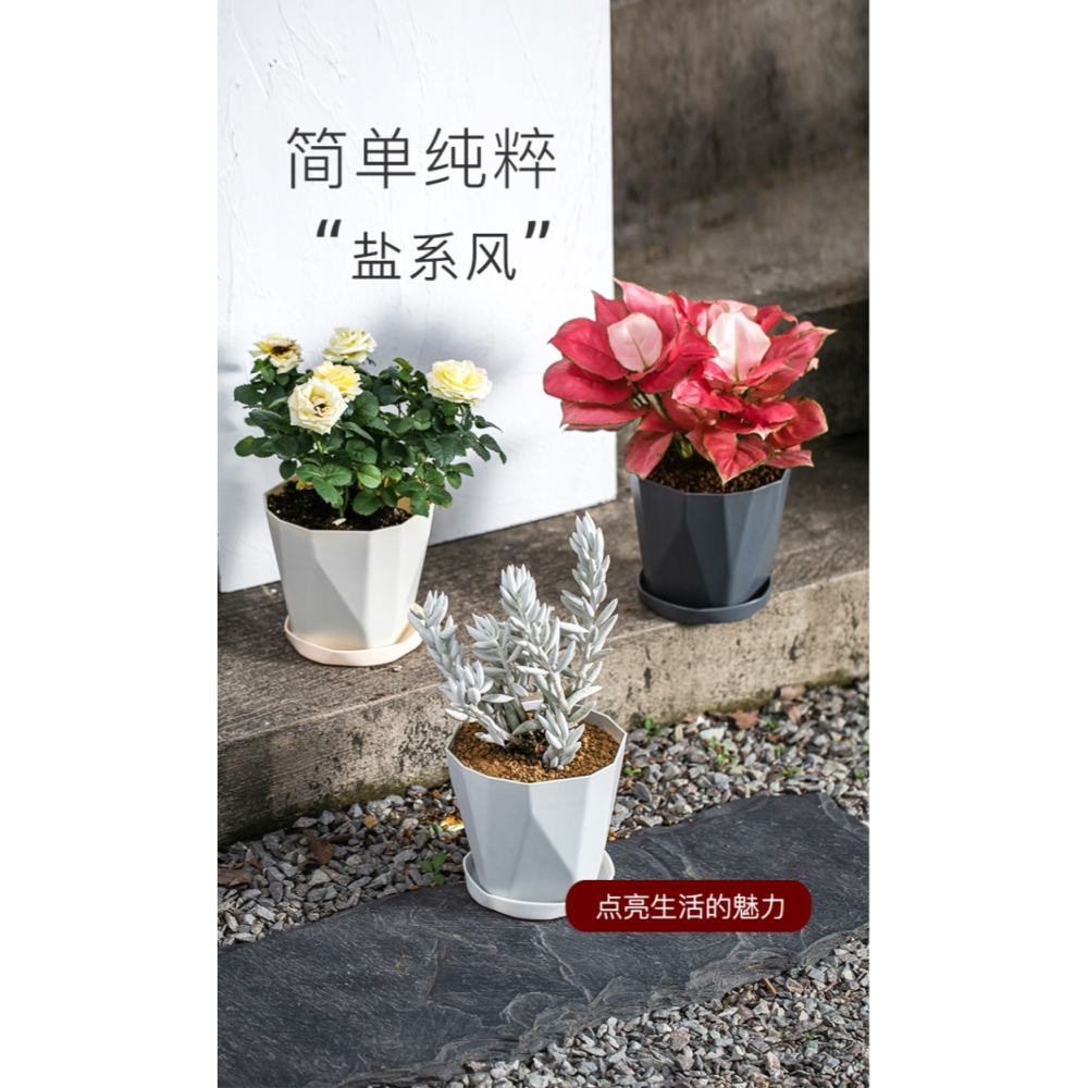 輕奢花盆北歐簡約網紅創意樹脂綠植多肉塑料花盆北歐大口徑帶託盤-細節圖6