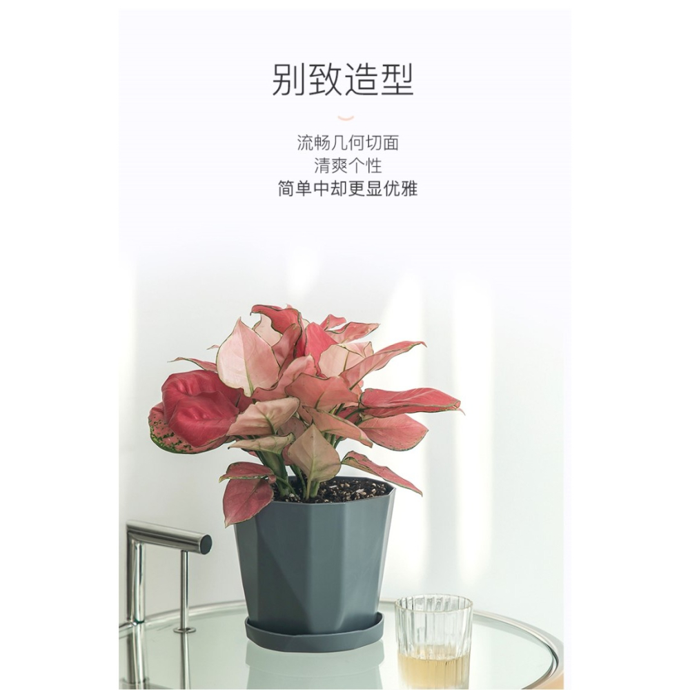 輕奢花盆北歐簡約網紅創意樹脂綠植多肉塑料花盆北歐大口徑帶託盤-細節圖10