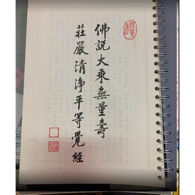 佛說大乘無量壽莊嚴清淨平等覺經皮革大字-細節圖2