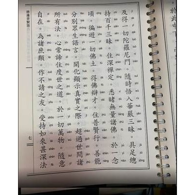 佛說大乘無量壽莊嚴清淨平等覺經皮革大字-細節圖4