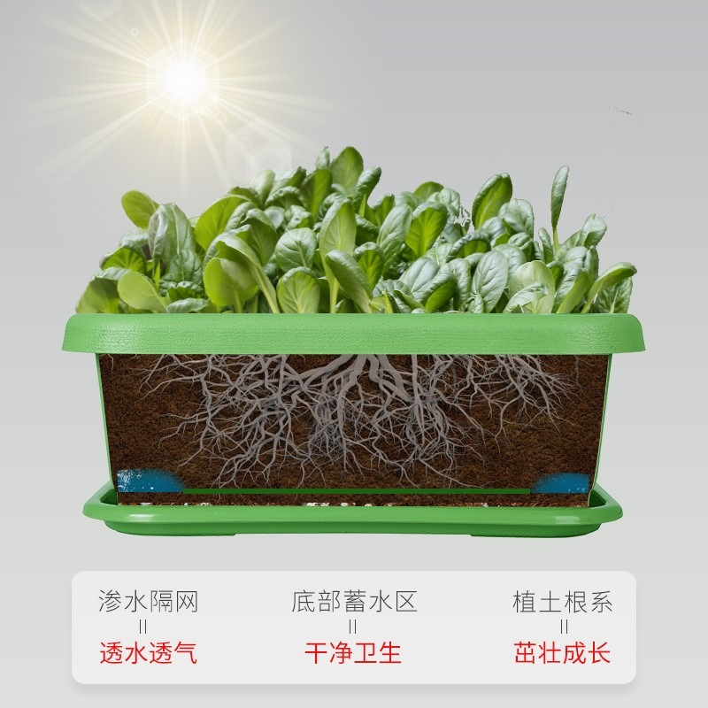 種菜盆長方形陽臺專用盆大號塑料家用廠家直銷清倉蔬菜神器種植箱-細節圖3