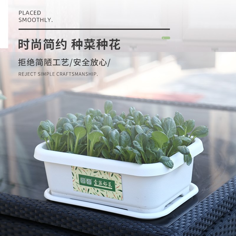 種菜盆長方形陽臺專用盆大號塑料家用廠家直銷清倉蔬菜神器種植箱-細節圖5