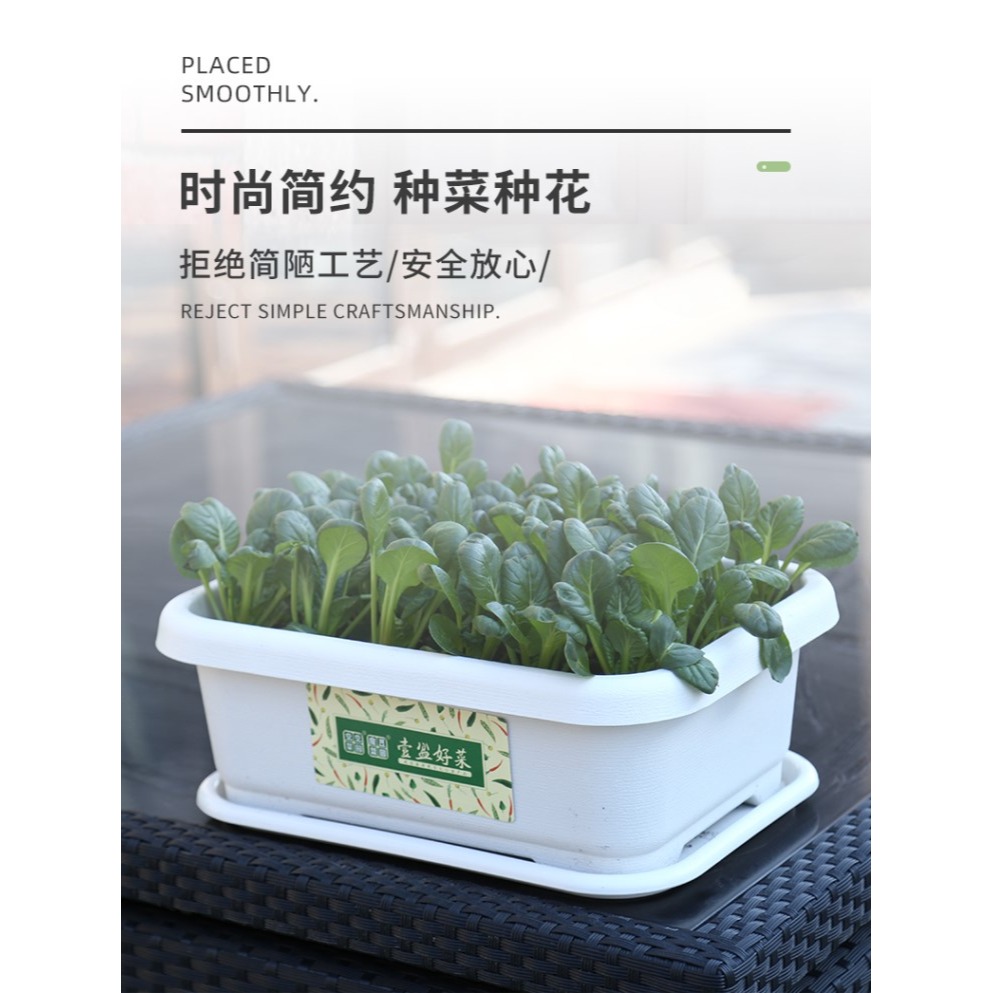 種菜盆長方形陽臺專用盆大號塑料家用廠家直銷清倉蔬菜神器種植箱-細節圖7
