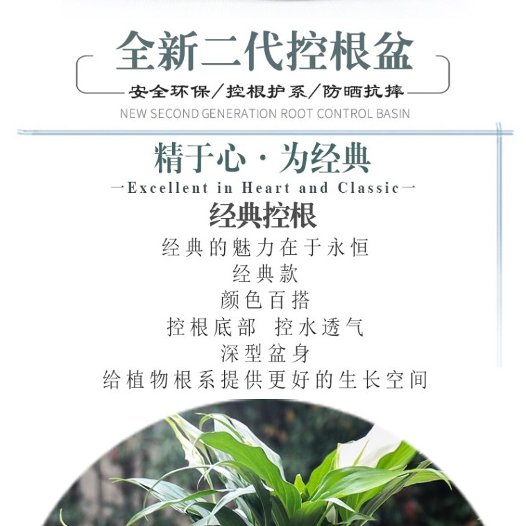 二代青山盆控根花盆綠蘿多肉月季種植專用大號樹脂塑料創意加侖盆-細節圖7