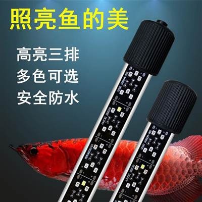 防水T8魚缸led潛水燈水中照明燈鸚鵡錦鯉金龍魚燈三湖慈鯛燈專用-細節圖2