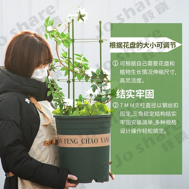 花架爬藤架花盆支架月季花架室內花卉攀爬桿園藝攀爬架桿-細節圖2