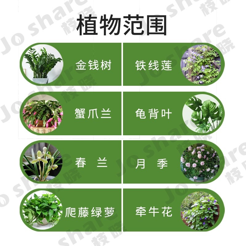 花架爬藤架花盆支架月季花架室內花卉攀爬桿園藝攀爬架桿-細節圖3