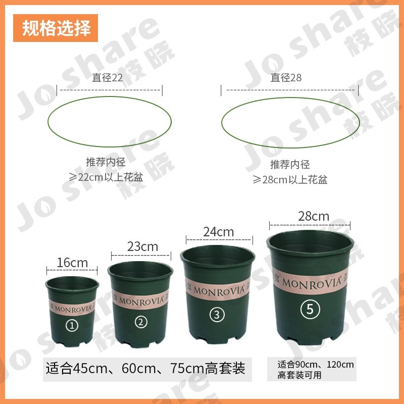 花架爬藤架花盆支架月季花架室內花卉攀爬桿園藝攀爬架桿-細節圖5