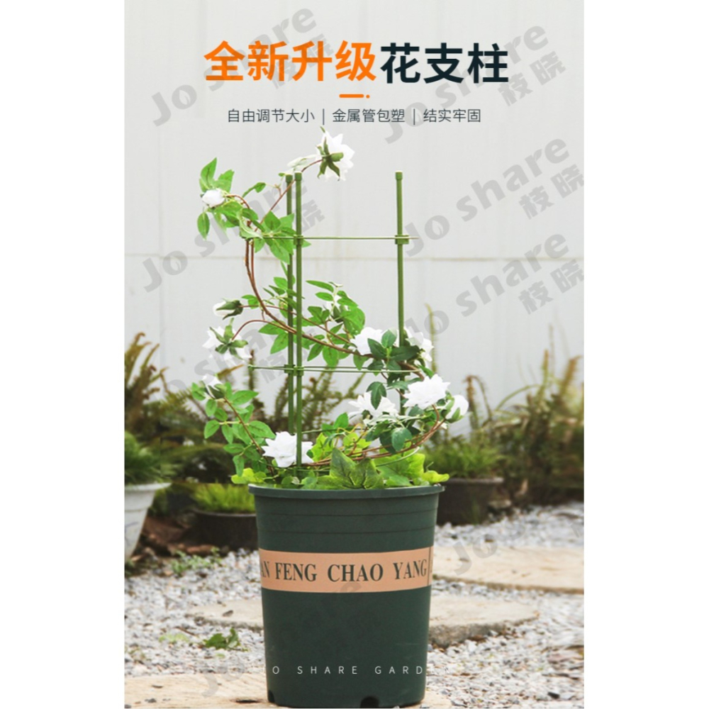 花架爬藤架花盆支架月季花架室內花卉攀爬桿園藝攀爬架桿-細節圖6