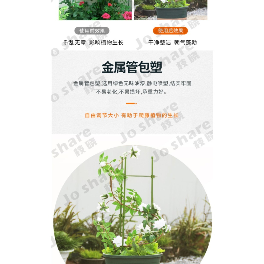 花架爬藤架花盆支架月季花架室內花卉攀爬桿園藝攀爬架桿-細節圖9
