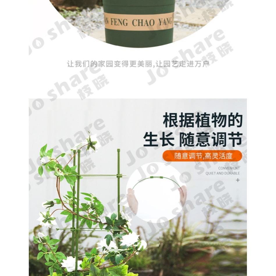 花架爬藤架花盆支架月季花架室內花卉攀爬桿園藝攀爬架桿-細節圖10