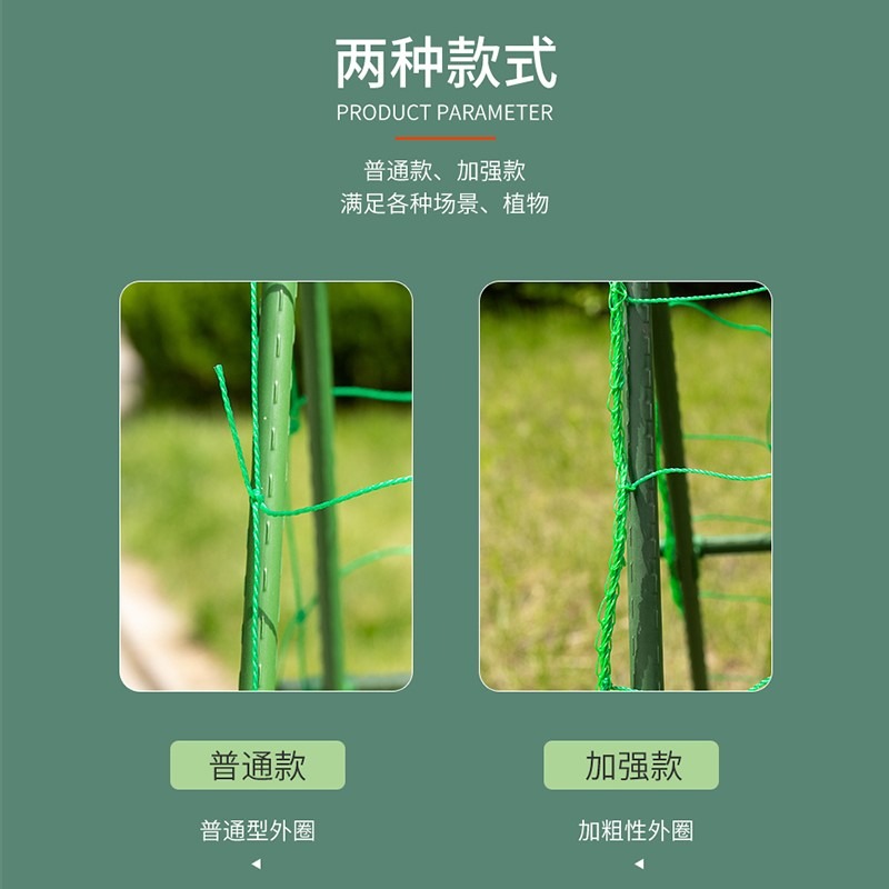 植物爬藤網種植月季牽引葡萄架百香果瓜果尼龍鐵線蓮黃瓜豆角苦瓜-細節圖2