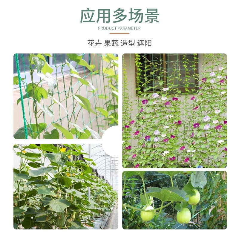 植物爬藤網種植月季牽引葡萄架百香果瓜果尼龍鐵線蓮黃瓜豆角苦瓜-細節圖5