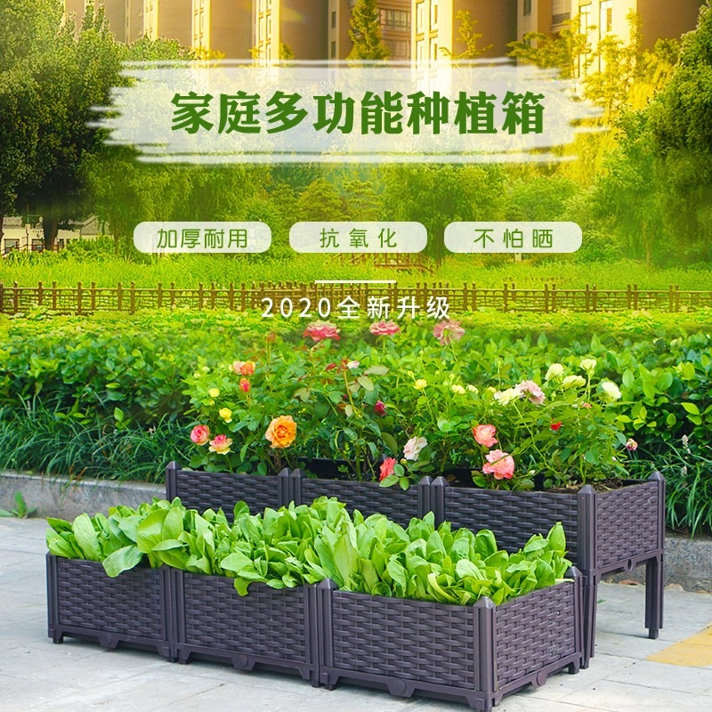 陽臺種菜神器種植箱蔬菜養花盆栽種菜家庭塑料花盆樓頂菜園箱一形-細節圖2