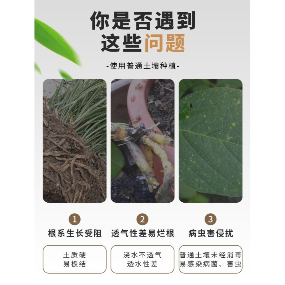 椰磚營養土通用型椰糠清倉包郵特價批發養花種菜土種植土大塊椰磚-細節圖7