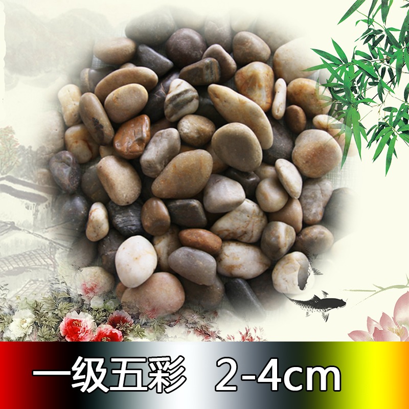 天然花盆園藝畫鵝卵石天然五彩色大小石頭石子原石庭院魚缸-細節圖3