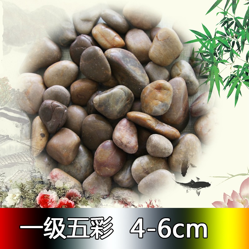 天然花盆園藝畫鵝卵石天然五彩色大小石頭石子原石庭院魚缸-細節圖4
