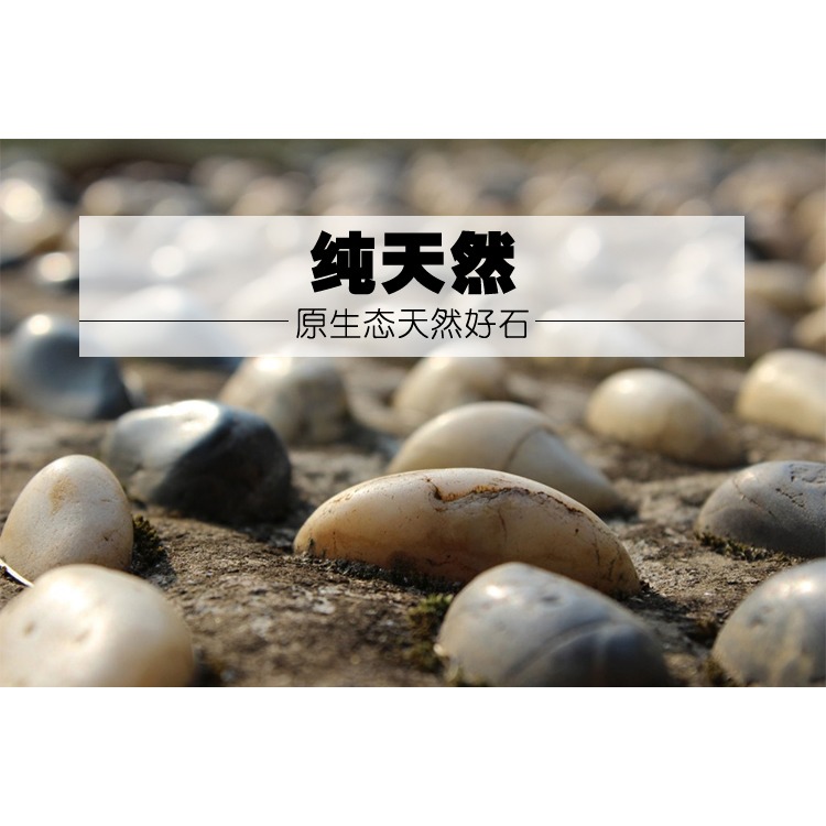 天然花盆園藝畫鵝卵石天然五彩色大小石頭石子原石庭院魚缸-細節圖6