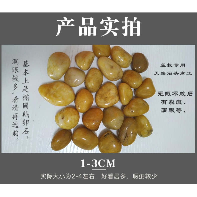 花盆園藝南京畫鵝卵石天然五彩色石頭石子大小庭院魚缸原石-細節圖9
