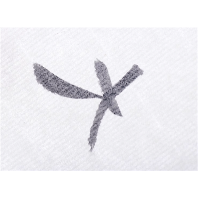 宣紙-細節圖2