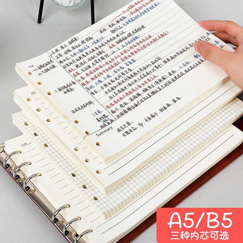 【橫款思維導圖活頁本專用內芯】B5/A4橫版活頁筆記本子內芯6孔活頁紙可替換網格方格內芯橫線內芯康奈爾內芯-細節圖3