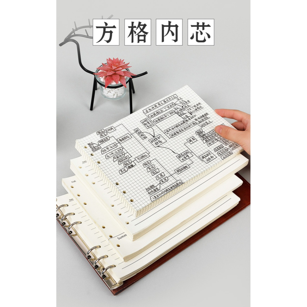 【橫款思維導圖活頁本專用內芯】B5/A4橫版活頁筆記本子內芯6孔活頁紙可替換網格方格內芯橫線內芯康奈爾內芯-細節圖8