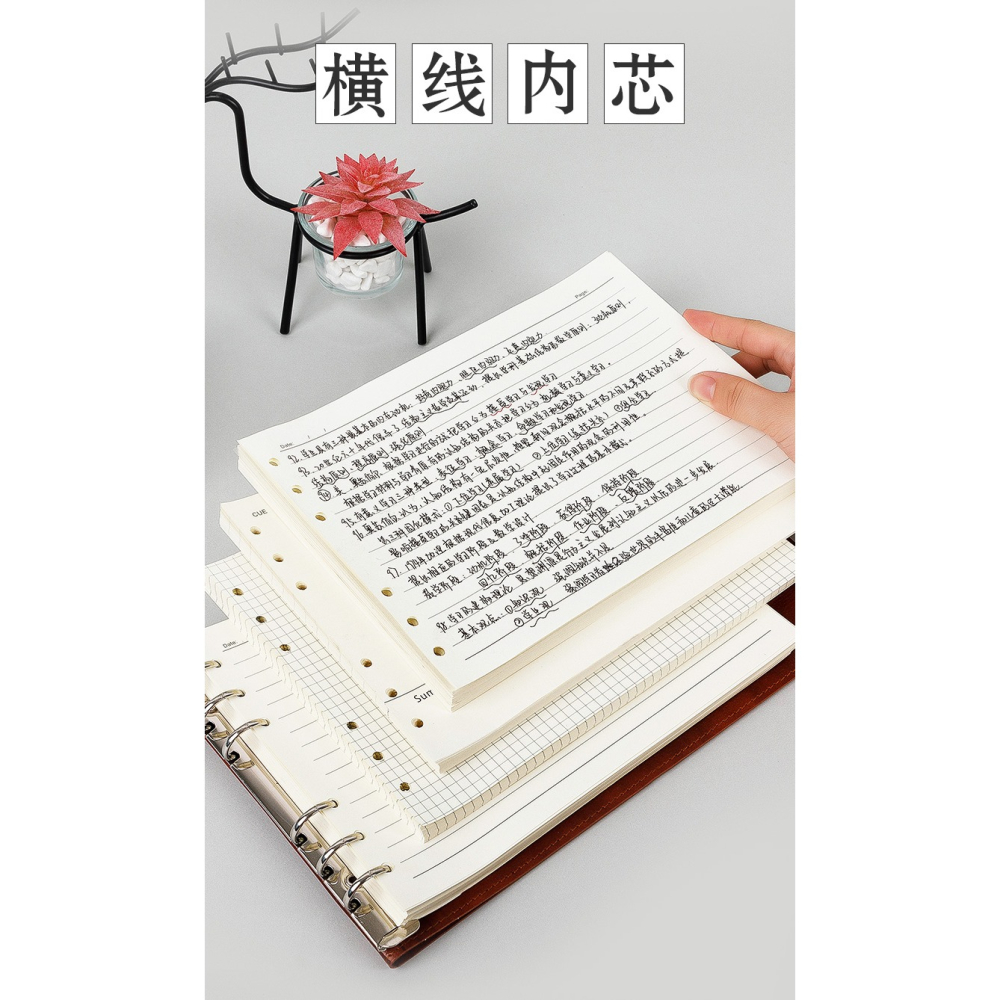 【橫款思維導圖活頁本專用內芯】B5/A4橫版活頁筆記本子內芯6孔活頁紙可替換網格方格內芯橫線內芯康奈爾內芯-細節圖9