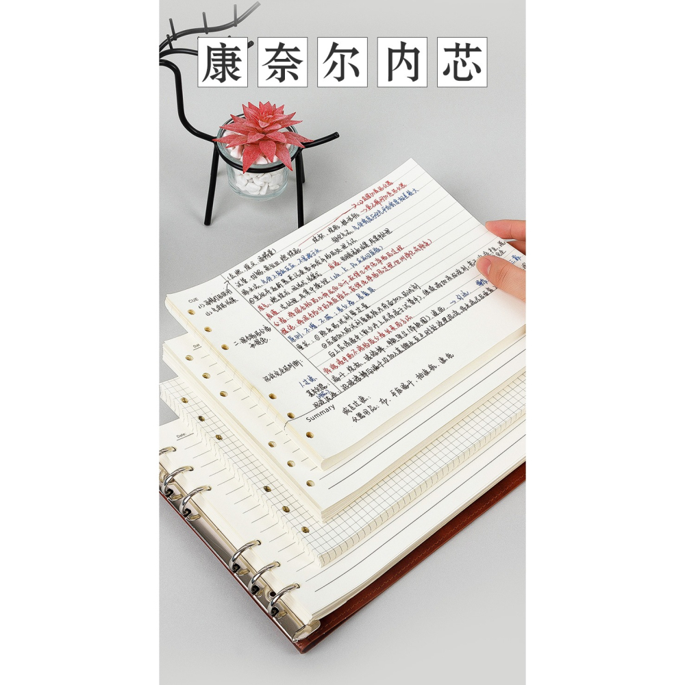 【橫款思維導圖活頁本專用內芯】B5/A4橫版活頁筆記本子內芯6孔活頁紙可替換網格方格內芯橫線內芯康奈爾內芯-細節圖10