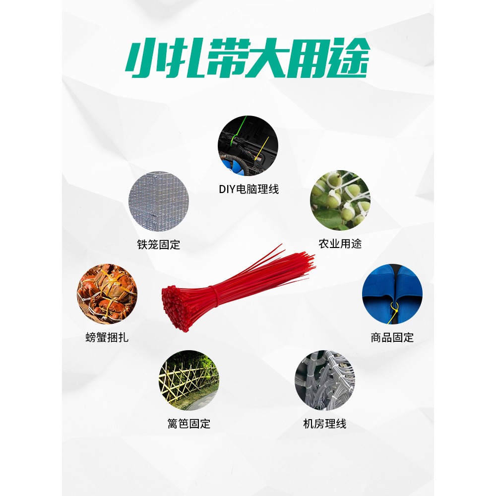 彩色尼龍扎帶塑料卡扣強力勒死狗扎線帶自鎖式固定4x200/5×300-細節圖2