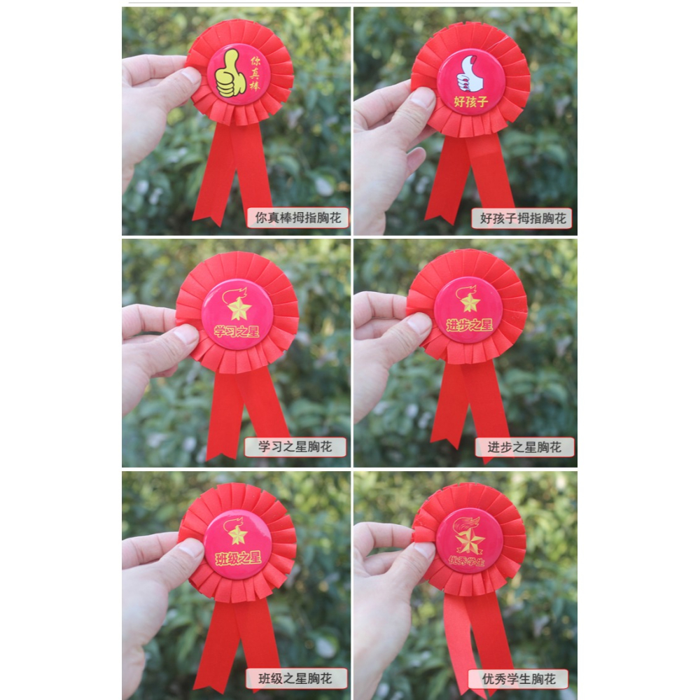 5朵 小學生學習之星班級獎勵徽章學校幼兒園兒童胸花胸章優秀獎章-細節圖5