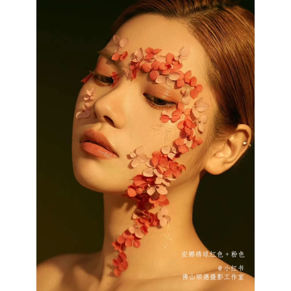 繡球花瓣妝美甲乾花影樓寫真臉部化妝創意造型舞臺節日表演-細節圖3