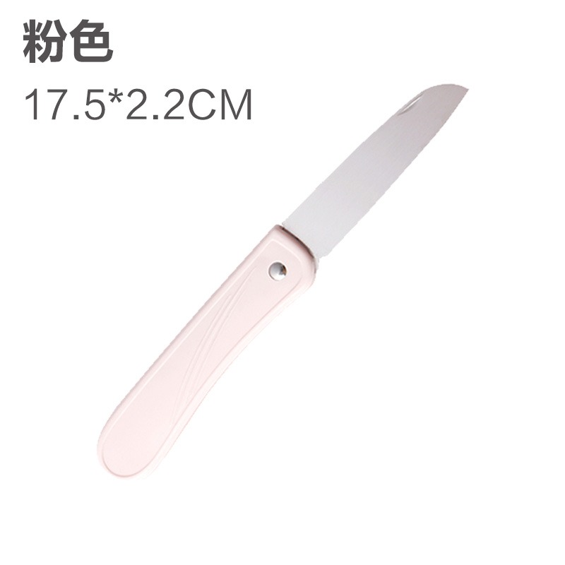 不銹鋼水果刀家用水果削皮器廚房便攜削皮刀切瓜刀果皮刨瓜果刀-細節圖9