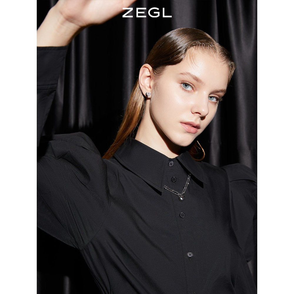 ZEGL愛心耳釘女2022年新款潮耳環高級感輕奢冷淡風925銀針耳飾品-細節圖4