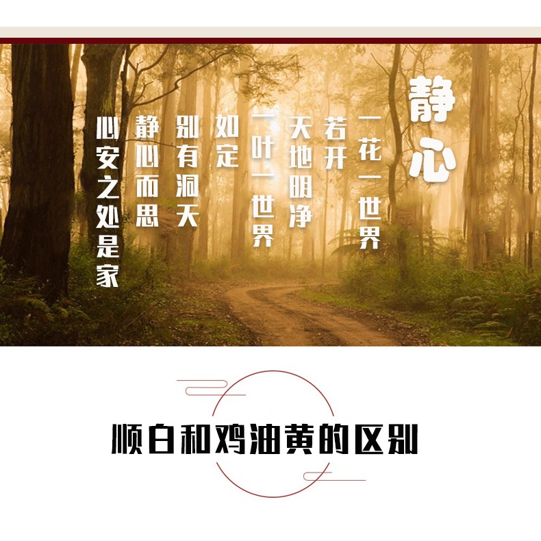 海南星月菩提3mm小籽手串女生小粒5mm小米珠文玩佛珠手鏈個性項鏈-細節圖10