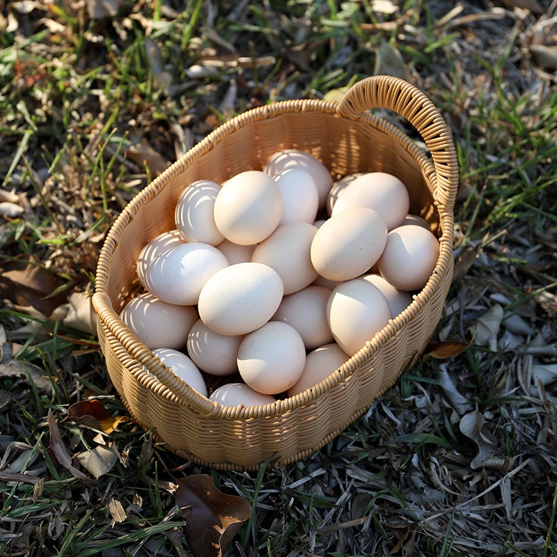 果盤 仿藤編織家用水果籃零食筐廚房蔬菜雜物籃雞蛋筐-細節圖3