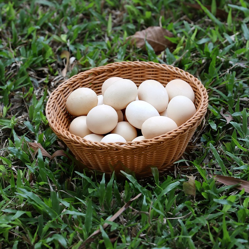 小喫籃子仿藤編織盤火鍋菜籃薯條油炸串串擺盤果籃零食筐子-細節圖3