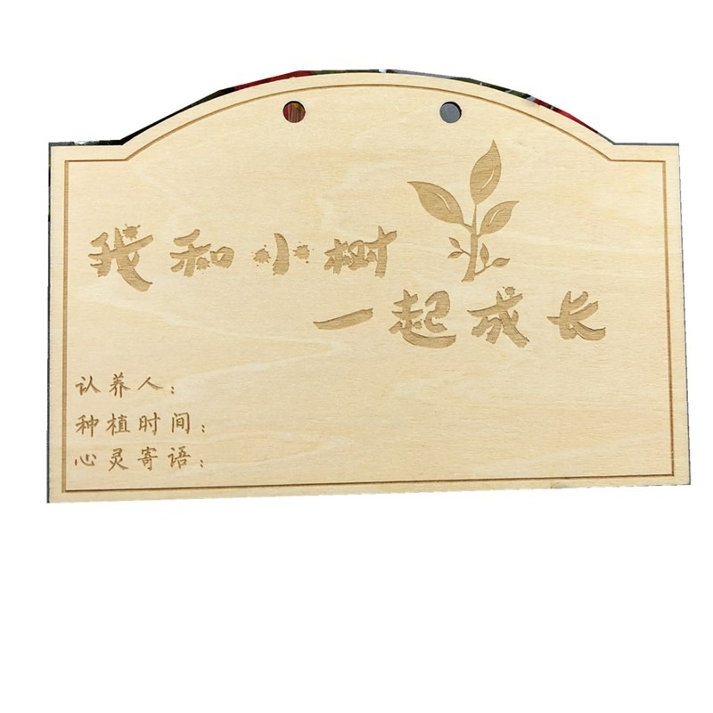 10片定做木質掛牌 學校植樹節吊牌 樹木認養牌 植物標簽牌 名字卡-細節圖5