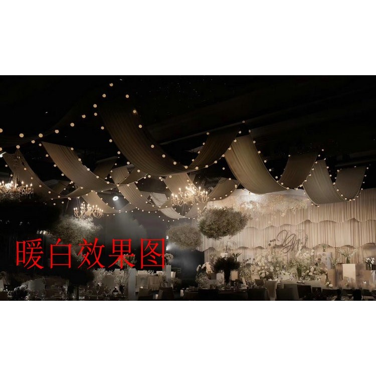 LED5cm大圓球彩燈閃燈usb電池燈滿天星聖誕影樓婚慶節日裝飾串燈-細節圖6