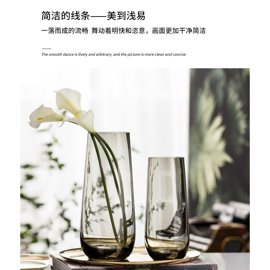 北歐現代簡約臺面花瓶客廳餐桌輕奢玻璃花瓶透明水養插花裝飾擺件-細節圖8