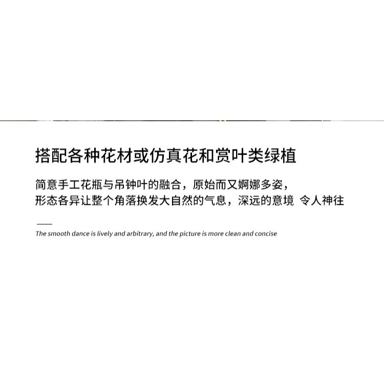 北歐現代簡約臺面花瓶客廳餐桌輕奢玻璃花瓶透明水養插花裝飾擺件-細節圖9
