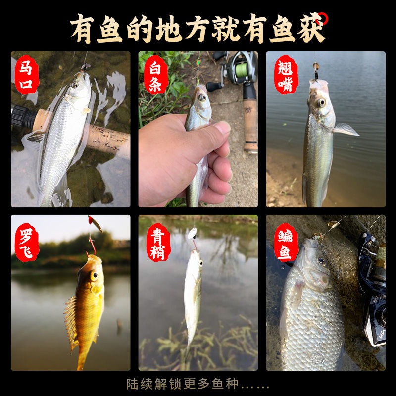 馬口白條不傷線瓜子亮片線組綁好套裝助投器飛蠅鉤羅非魚路亞假餌-細節圖2