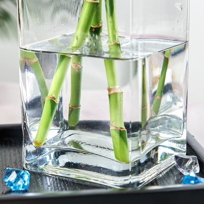 玻璃花瓶擺件客廳透明插花乾花方形直筒大號裝飾花器水培富貴竹瓶-細節圖3